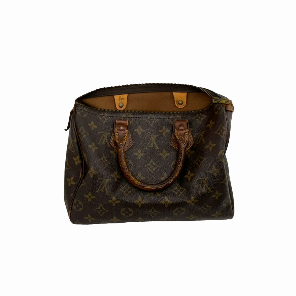 Louis Vuitton Speedy 25 Monogram